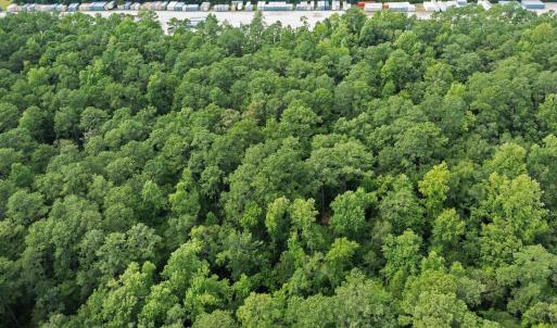 wooded