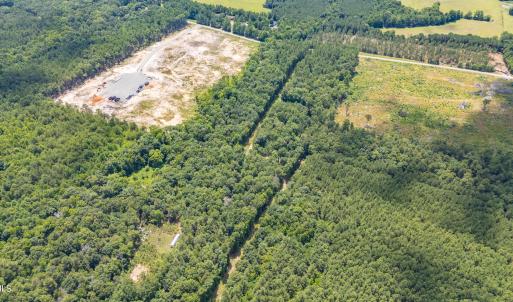 9849-B Twisted Oak Trail-Drone-9