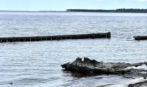 Neuse River View
