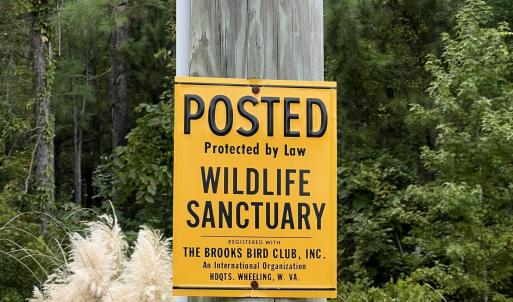 Bird Santuary