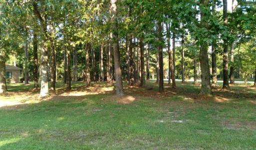 Resized_20240830_092042