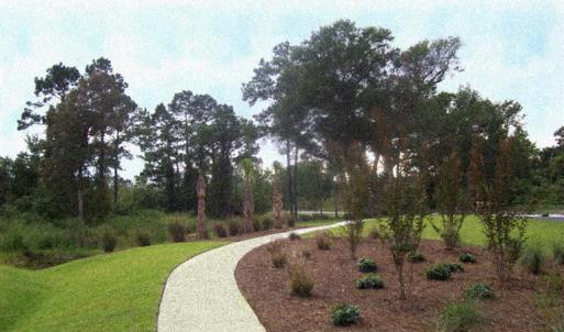NATURE WALK