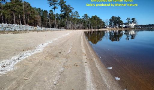 Natural Living Beach, Untouched by Human