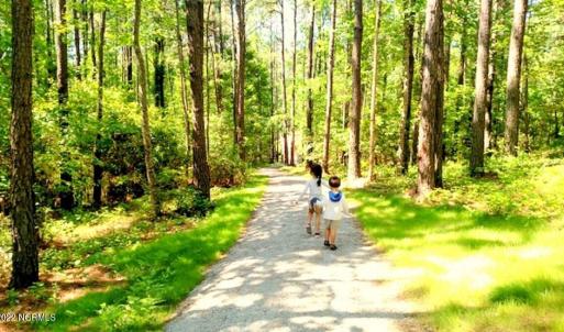 Neighborhood Trails