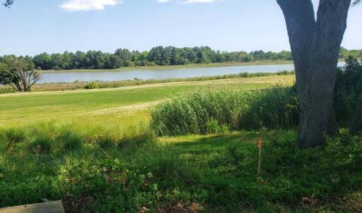 Lot 8 Goose Creek