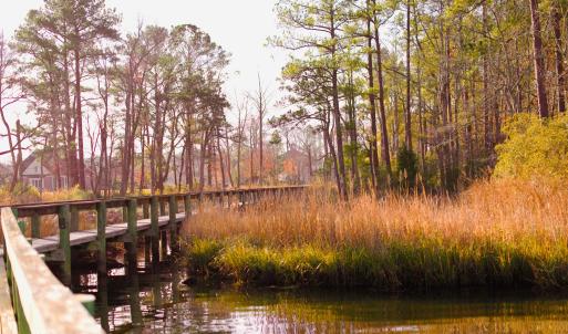 Marsh Walk