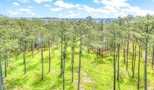 203 River Watch (11)