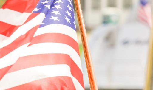 Flag (Large)