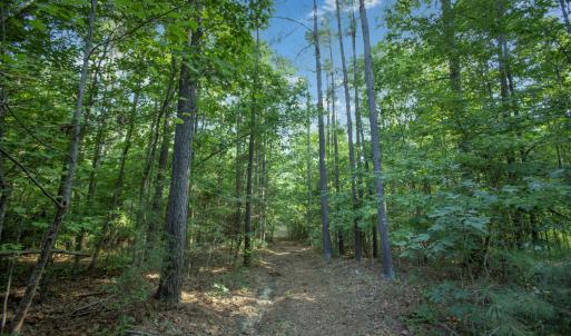 Lamont Norwood Road 4