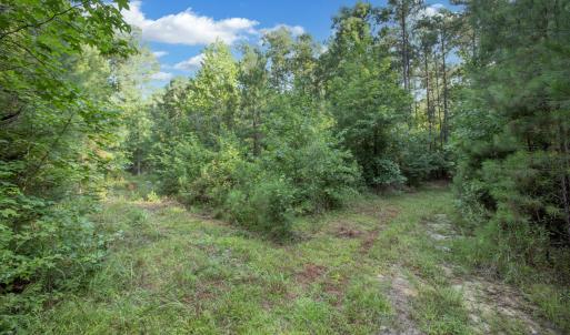 Lamont Norwood Road 3