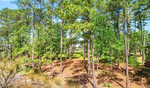 72 Oyster Point Road 38 (5)