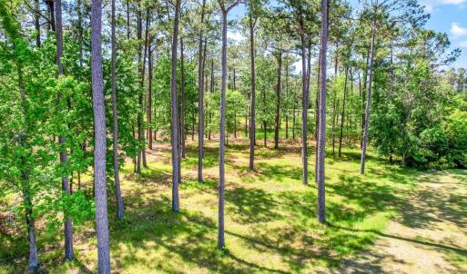 72 Oyster Point Road 38 (14)