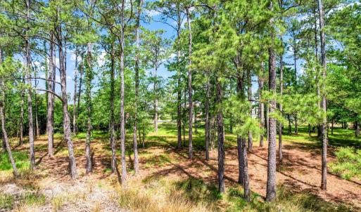 72 Oyster Point Road 38 (12)