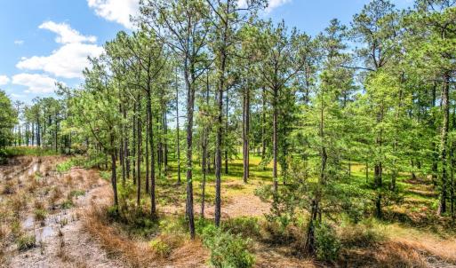 72 Oyster Point Road 38 (17)