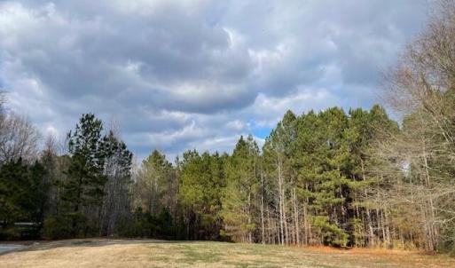 Lot view