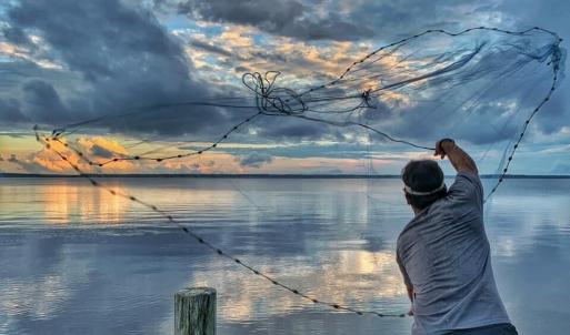 catching dinner