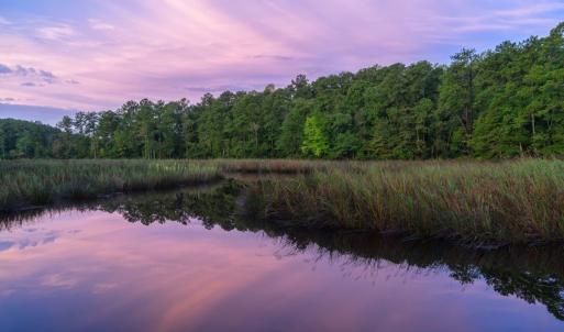 sundown on Mill Creek