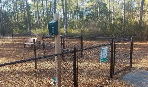 9 dog park
