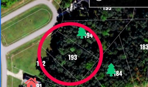 Lot 193 pic