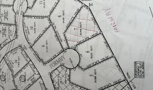 Lot 7