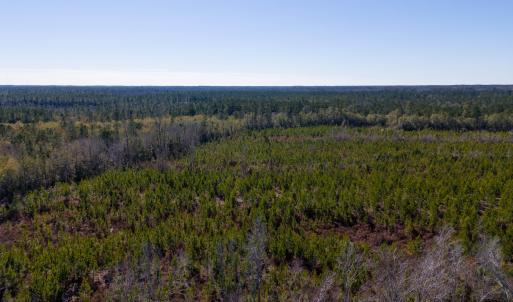 Pender NC 382 - Edits-16
