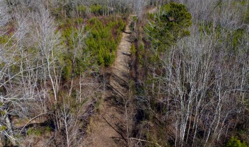 Pender NC 382 - Edits-23