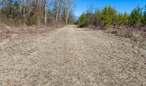 Pender NC 382 - Edits-25