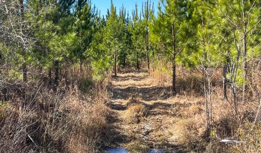 Pender NC 382 - Edits-31