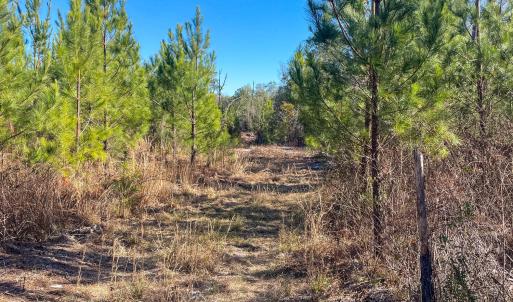Pender NC 382 - Edits-49