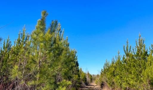 Pender NC 382 - Edits-50