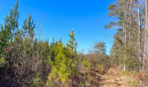 Pender NC 382 - Edits-52