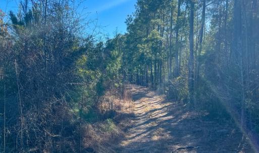 Pender NC 382 - Edits-54