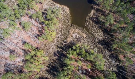 DJI_0009a
