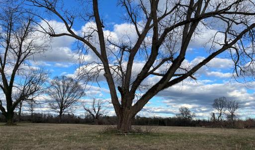 View from Old Lumberton Rd