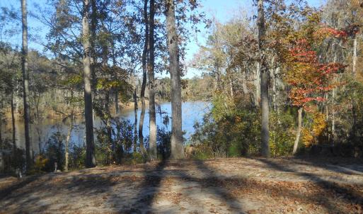 Standing on very edge of lot