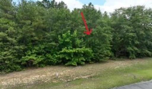 173 Deer Pointe Drive Lot 9