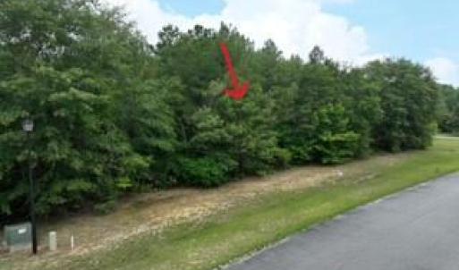 173 Deer Pointe Drive Lot 9