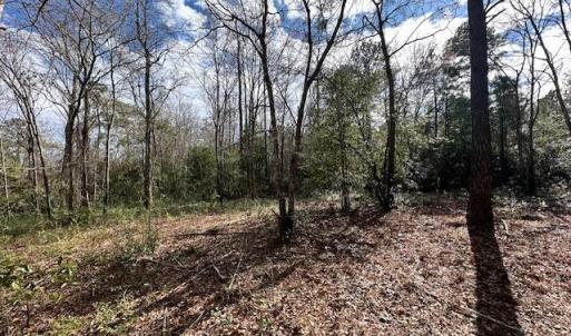 lot 418