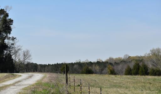 DSC_1246