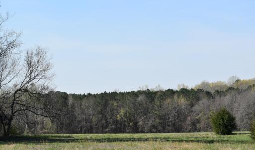 DSC_1248