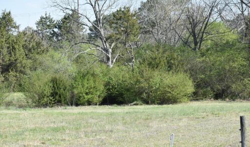 DSC_1251