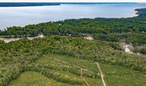 C-3 Nevil Creek