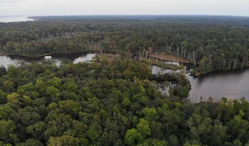 C3 Nevil Creek
