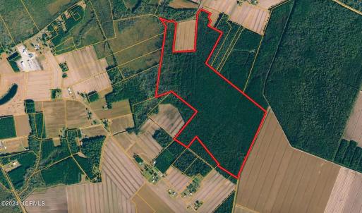 247-Acre Woodland for Sale