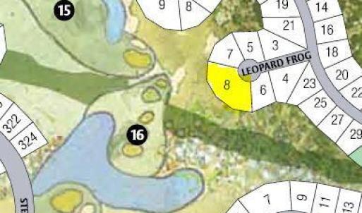 highlighted 8 leopard