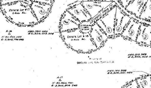 lot 18 - 8 Leopard Frog Ct