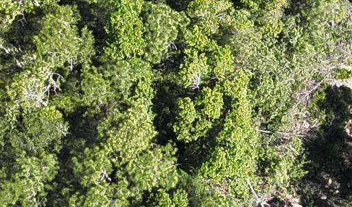 DJI_20230502104733_0010_V