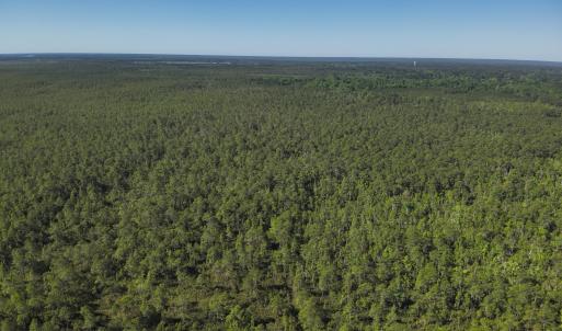 DJI_20230502092818_0001_V