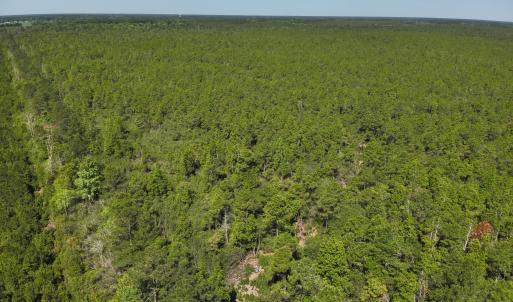 DJI_20230502104501_0001_V