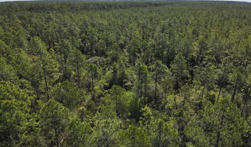 DJI_20230502095306_0013_V